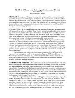 The Effects of Glucose on the Embryological Development of