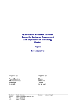 Quantitative Research into Non Domestic Customer