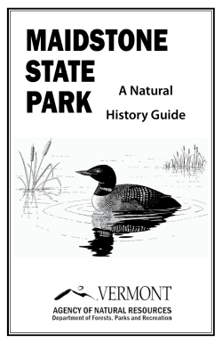 Maidstone Nature Guide