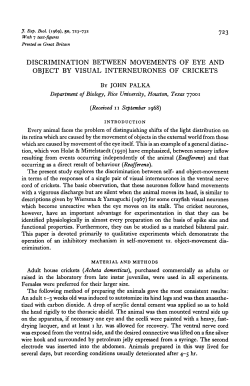 discrimination between movements of eye and object by visual