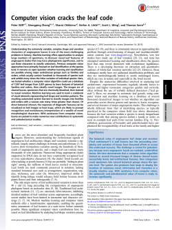 Computer vision cracks the leaf code - Serre Lab