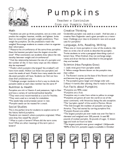 Pumpkins - Washington Farms