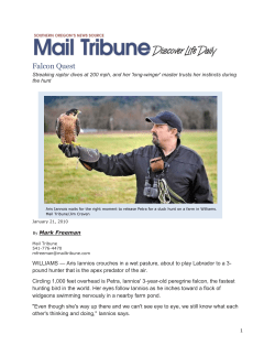 Falcon Quest - Oregon Falconers Association