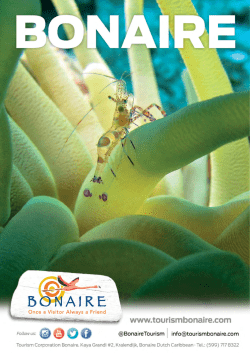 Request a Brochure - Tourism Corporation Bonaire