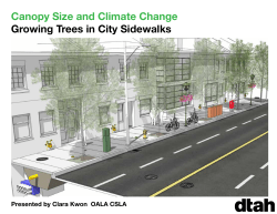 Canopy Size and Climate Change Growing Trees in City Sidewalks
