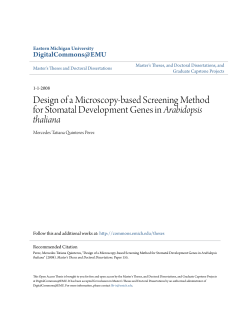 Design of a Microscopy-based Screening Method for Stomatal