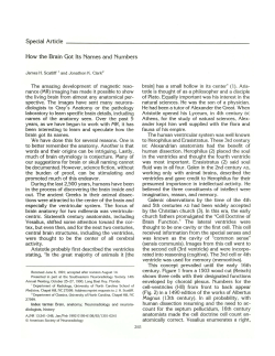 Special Article How the Brain Got Its Names and Numbers