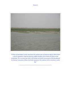 Picture 1 "A Photo of Salal Marsh, which represents the southern