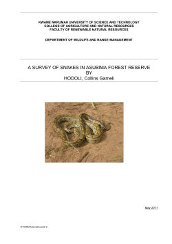 A SURVEY OF SNAKES IN ASUBIMA FOREST