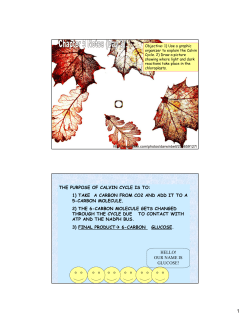 THE PURPOSE OF CALVIN CYCLE IS TO: 1) TAKE A CARBON