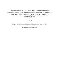 COMPARISON OF THE EARTHWORMS Lumbricus