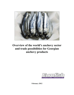 Overview of the world`s anchovy sector and trade