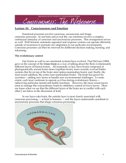 Lecture 10. Consciousness and Emotion