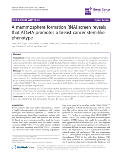 A mammosphere formation RNAi screen reveals that ATG4A