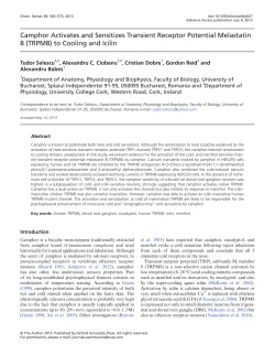 Camphor Activates and Sensitizes Transient