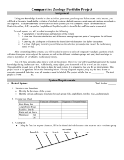 Comparative Zoology Portfolio Project