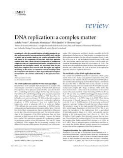 DNA replication: a complex matter