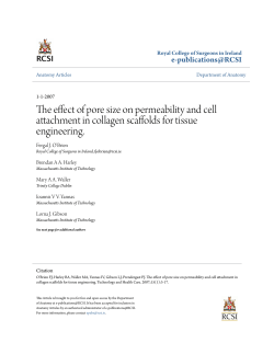 The effect of pore size on permeability and cell attachment in