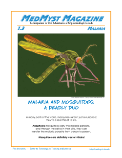 MedMyst Magazine - Web Adventures