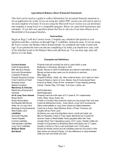 Agricultural Balance Sheet (Financial Statement)