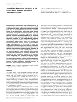 Small-World Anatomical Networks in the Human Brain Revealed by