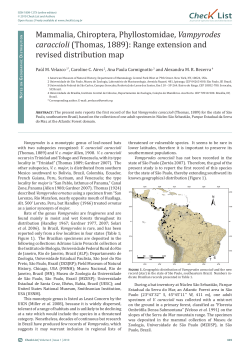 Mammalia, Chiroptera, Phyllostomidae, Vampyrodes caraccioli