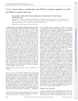 Cyclic stretch induces proliferation and TGF-1