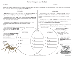Animal- Compare and Contrast