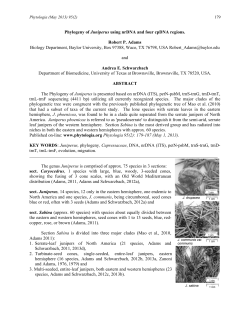 Nomenclatural adjustments in Juniperus deppeana