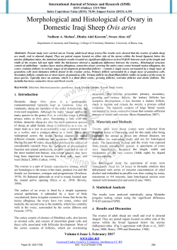 Morphological and Histological of Ovary in Domestic Iraqi Sheep