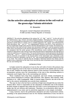 On the selective adsorption of cations in the cell wall of the green alga