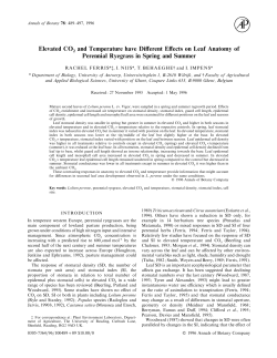 Elevated CO2 and Temperature have Different Effects on Leaf