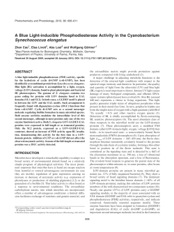 A Blue Lightinducible Phosphodiesterase Activity in the