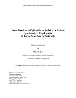 From Baseline to Epileptiform Activity: A Path to Synchronized