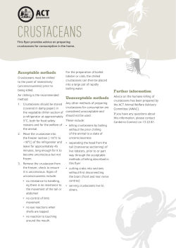 Crustaceans fact sheet