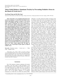 Nitric Oxide Reduces Aluminum Toxicity by Preventing Oxidative