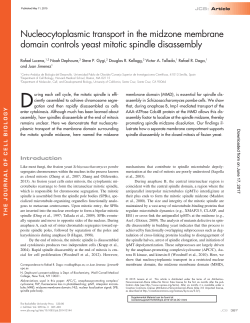 Nucleocytoplasmic transport in the midzone membrane domain