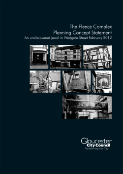 Fleece Hotel Concept Statement - Interim adoption