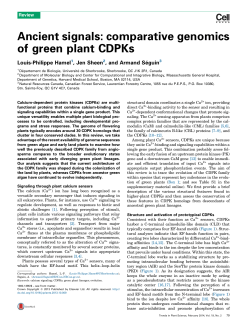 Ancient signals: comparative genomics of green plant CDPKs