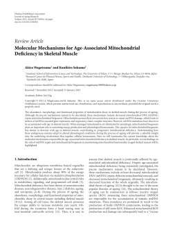 Molecular Mechanisms for Age-Associated Mitochondrial Deficiency