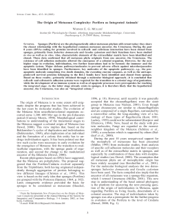 The Origin of Metazoan Complexity: Porifera as