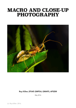 Macro PDF - Belmont 16s Photography Club