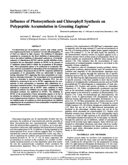 Influence of Photosynthesis and Chlorophyll