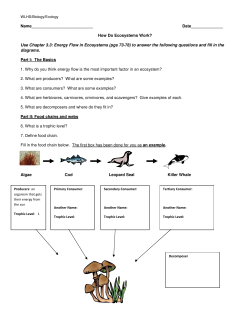 Use Chapter 3.3: Energy Flow in Ecosystems