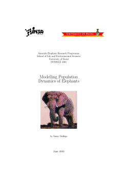 Modelling Population Dynamics of Elephants