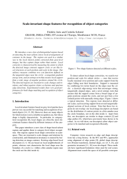 Scale-invariant shape features for recognition of
