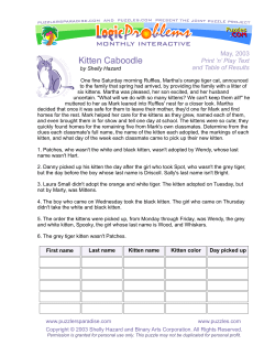 Kitten Caboodle - Puzzlers Paradise