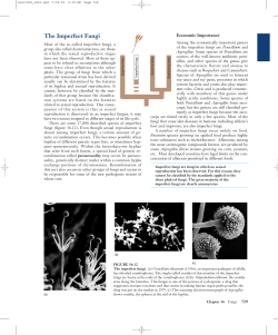 The Imperfect Fungi