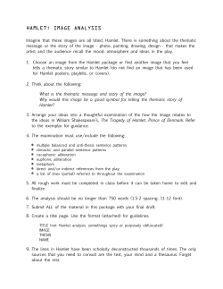 hamlet image analysis 2010-2011