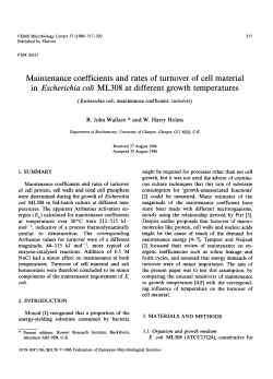 Maintenance coefficients and rates of turnover of cell material in